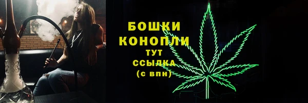 прущие крисы Надым