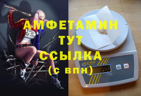 прущие грибы Данков
