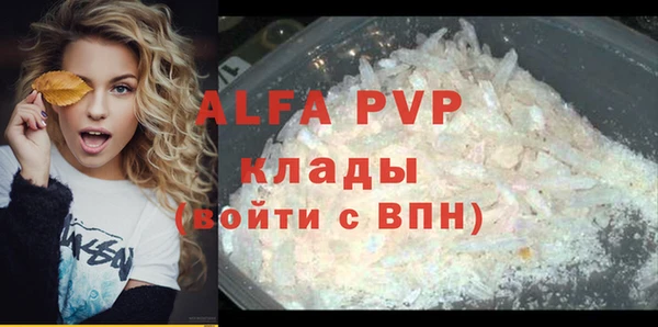 прущие крисы Надым